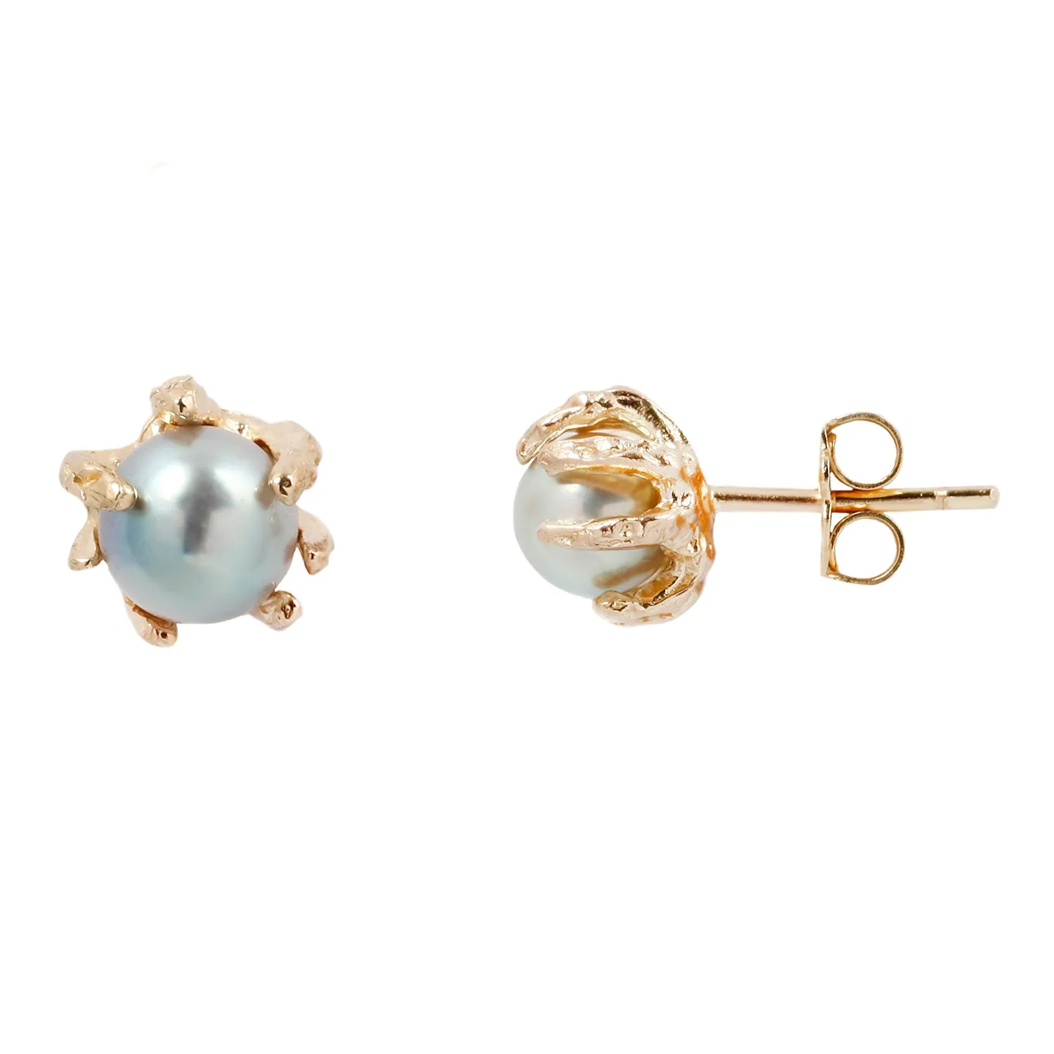 Gold Stingray Akoya Pearl Studs