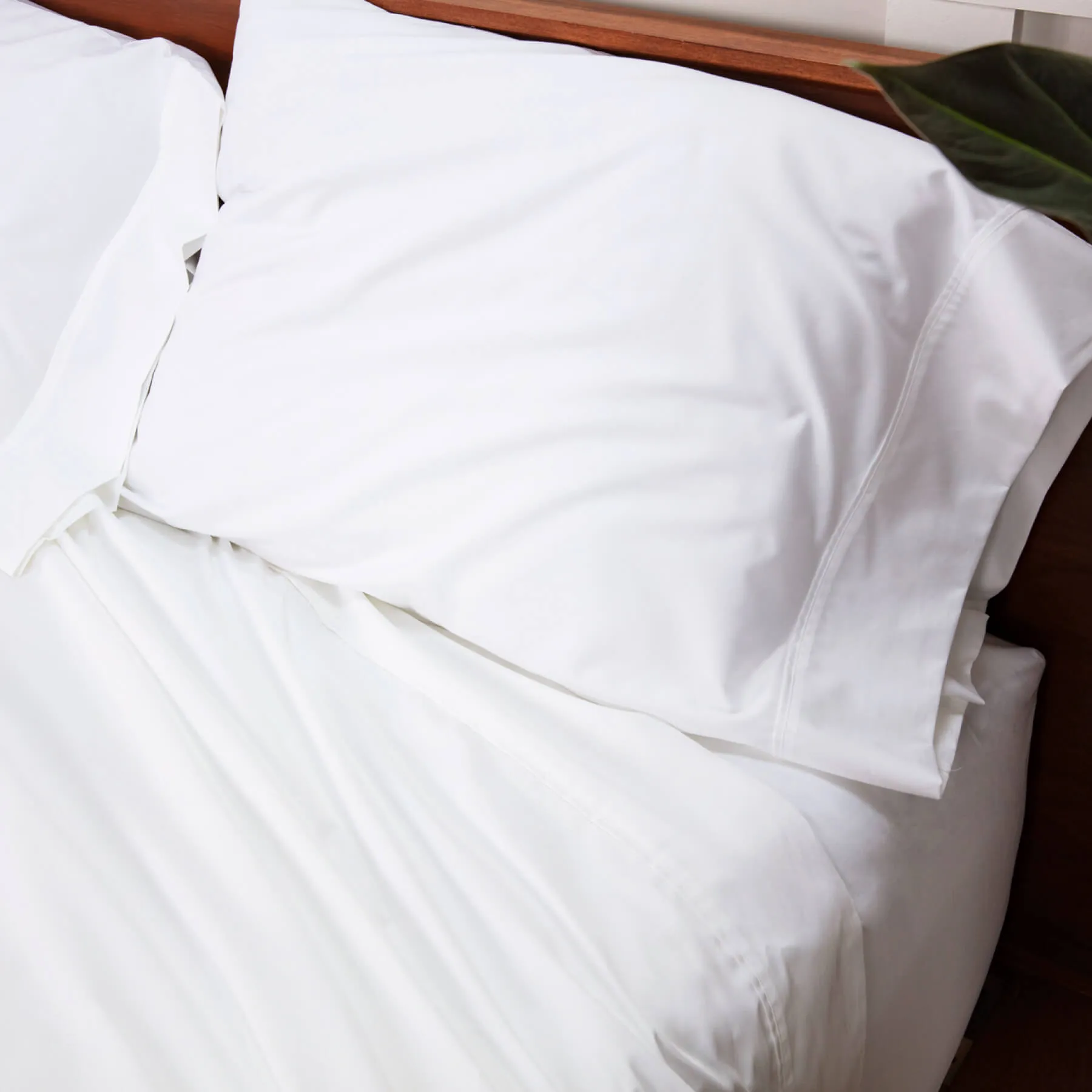 Organic Cotton Sateen Sheets