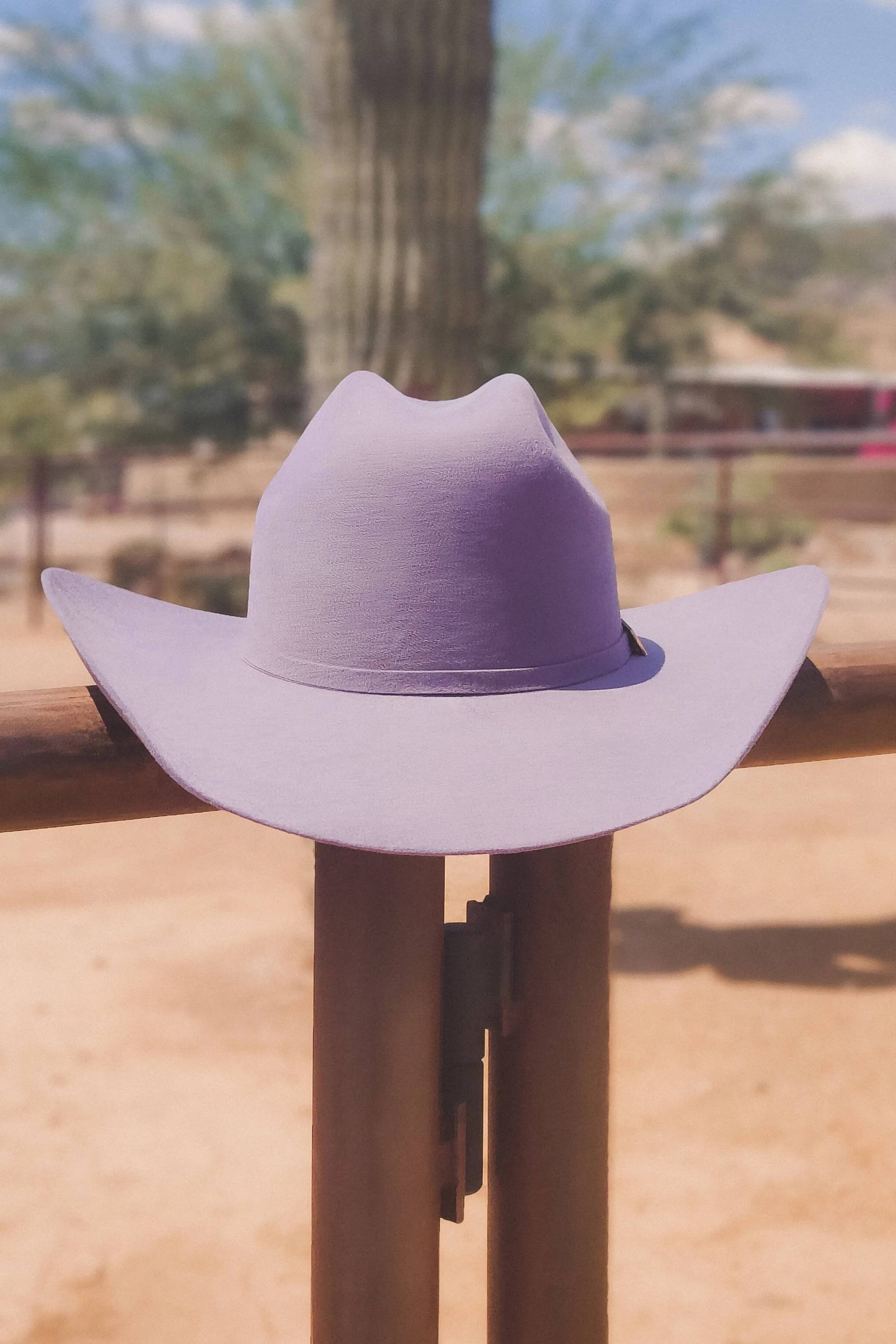 Rodeo Royalty 4x Felt in Lavender