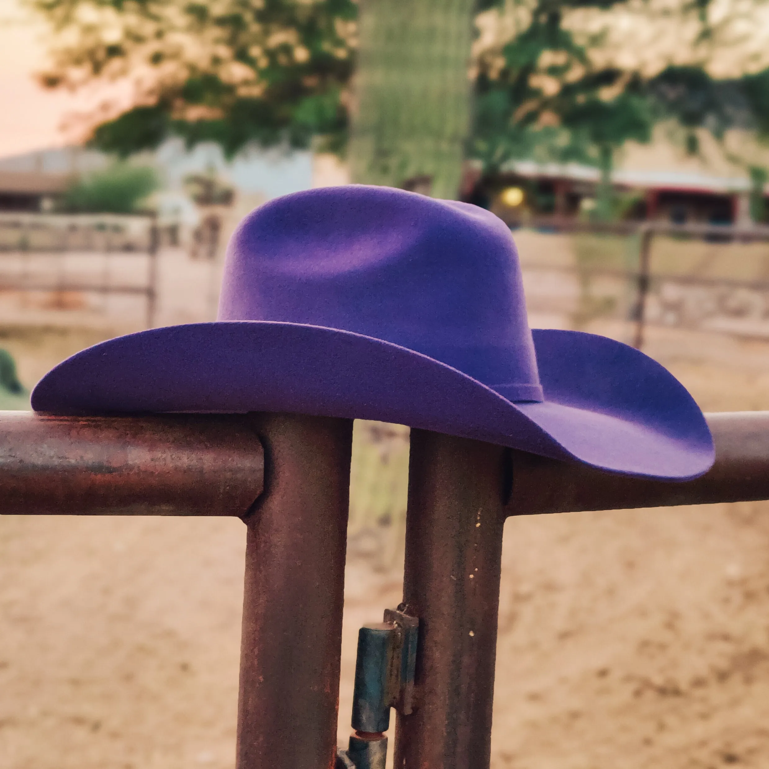 Rodeo Royalty 4x Felt in Royal Purple