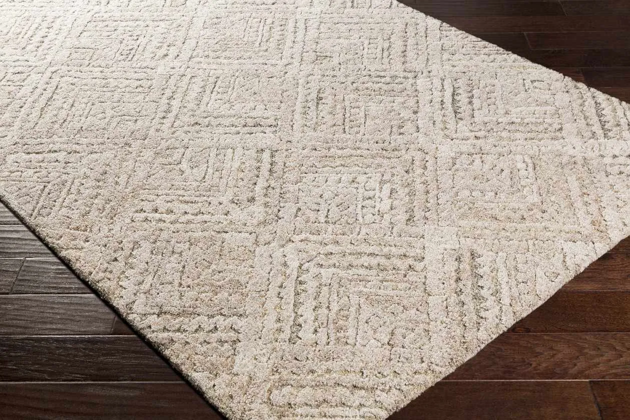 Smibridge Bohemian/Global Area Rug